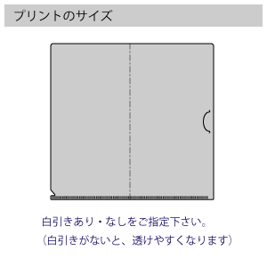 抗菌マスクケース Ag+（ファイル型）のプリントサイズ