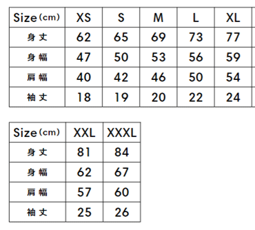 ヘビーウェイトTシャツ（ポリジン加工）のサイズ