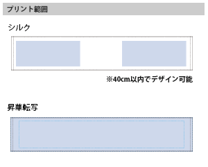 ピクチャースタイルマフラータオルのプリントサイズ