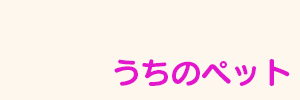 ペット