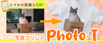 写真Tシャツ